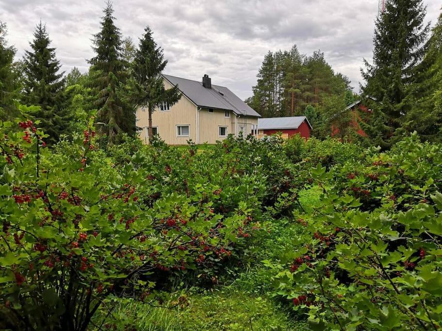 Mukava Mummonmoekki Maaseudun Rauhassa Koivu Exterior foto
