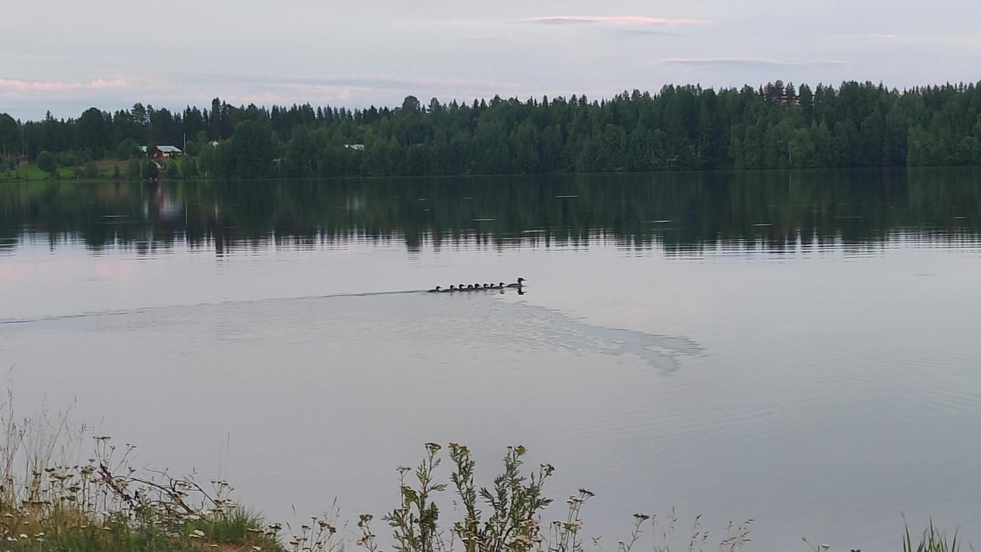 Mukava Mummonmoekki Maaseudun Rauhassa Koivu Exterior foto