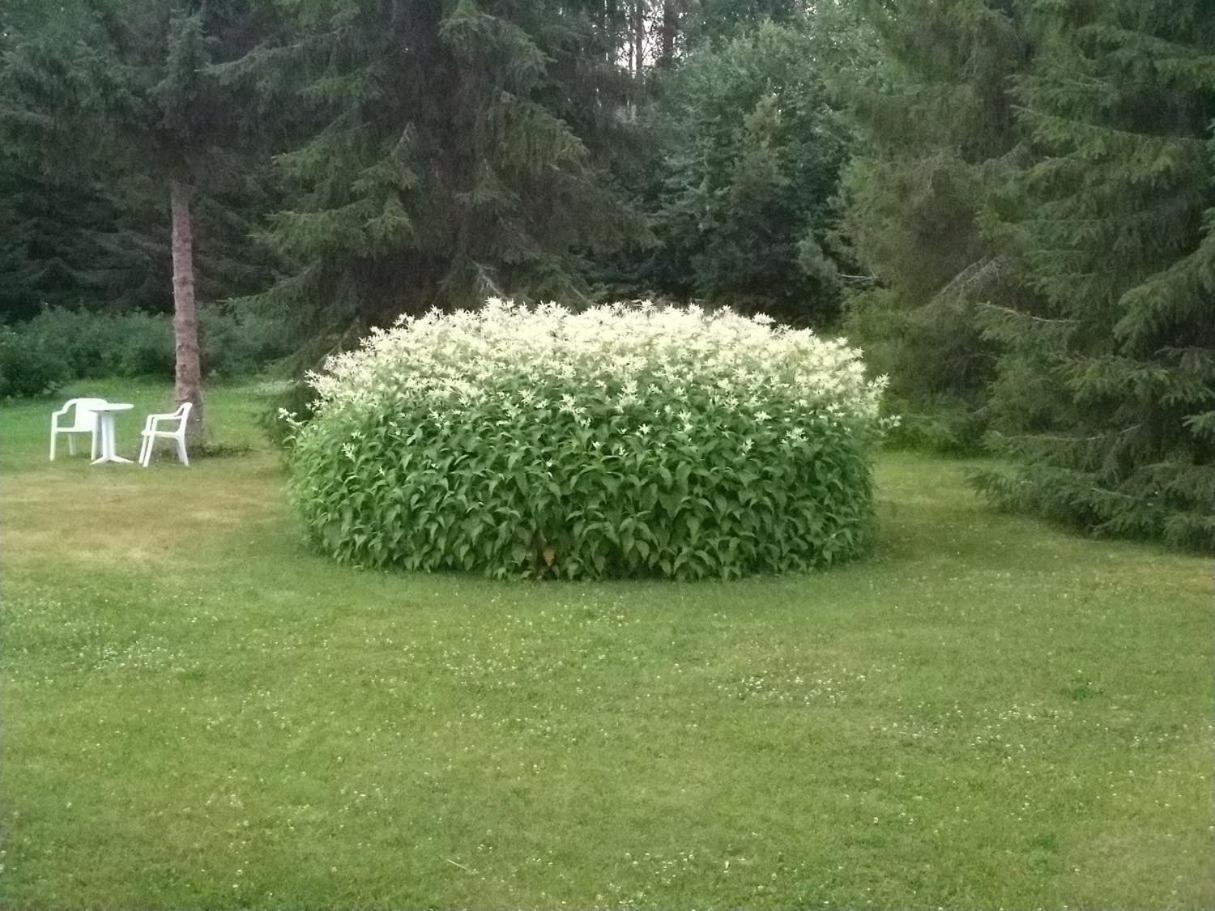 Mukava Mummonmoekki Maaseudun Rauhassa Koivu Exterior foto